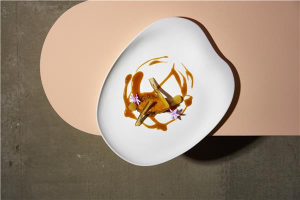 Piatto porcellana Opaco serie Jelly Dinner 2
