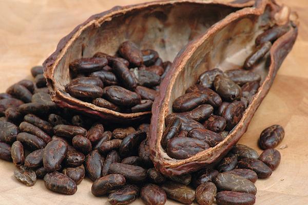 Cacao Nibs Qroqant frammenti cacao caramellati 3