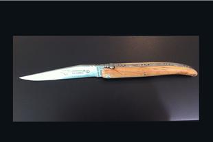 Coltello Pieghevole Inox 10 cm