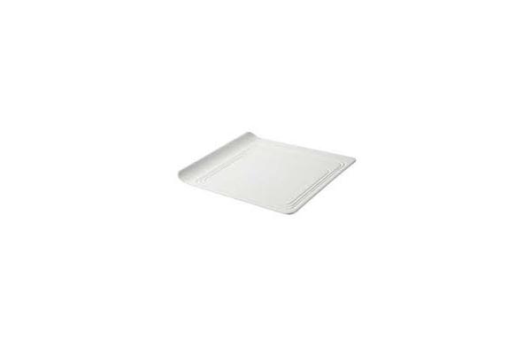 ASSIETTE PLATEAU CARRE´ 2