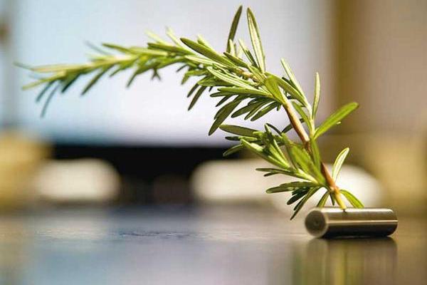 Bud Vase / Chopstick Rest 3