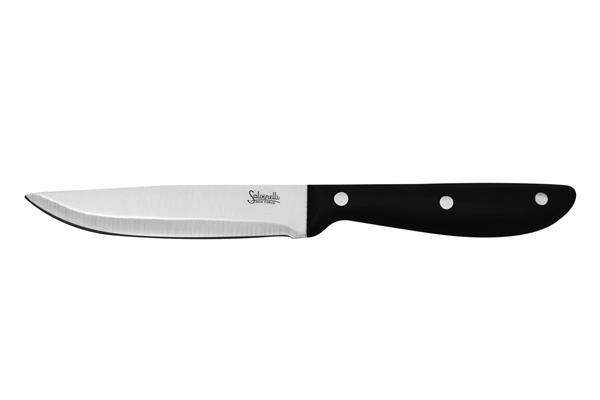 Coltello manzo filo rasoio Bistrot 1