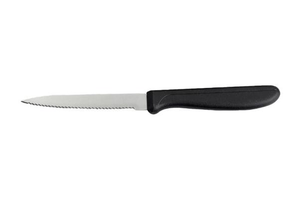 Coltello disosso seghettato Basic 1