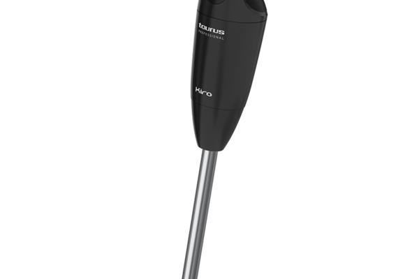 Mixer immersione