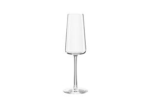 CALICE FLUT CHAMPAGNE CL. 24