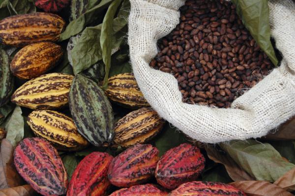 Cacao Nibs Qroqant frammenti cacao caramellati 2