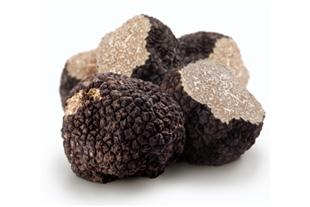 Tartufo nero