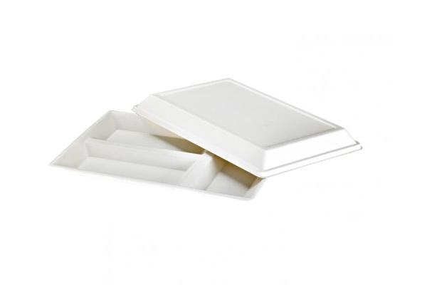 Ecodesign vassoio a scomparti fibra canna da zucchero 40 x 27 cm 1