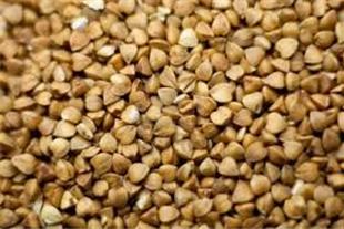 Grano Saraceno BIO