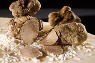 Specialità al Tartufo